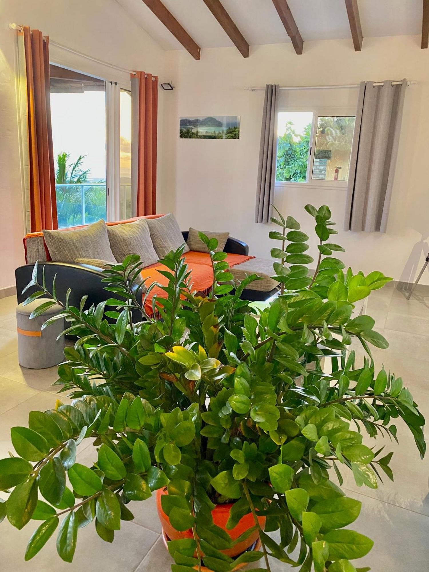 Les Villas Pameyaque 2 F2 Avec 1 Piscine Et 1 F3 Avec 1 Piscine, Superbe Vue Sur La Mer Riviere-Salee Exteriör bild